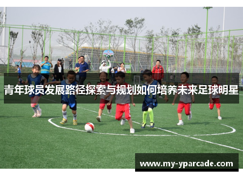 青年球员发展路径探索与规划如何培养未来足球明星