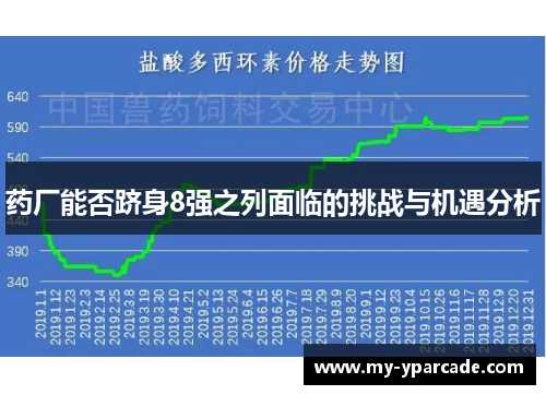 药厂能否跻身8强之列面临的挑战与机遇分析