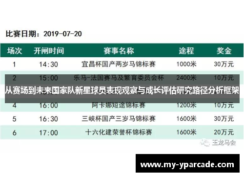 从赛场到未来国家队新星球员表现观察与成长评估研究路径分析框架