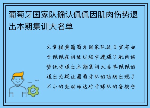 葡萄牙国家队确认佩佩因肌肉伤势退出本期集训大名单